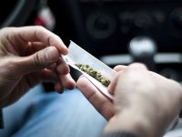 marijua dui in los angeles blog post picture of a person rolling a joint